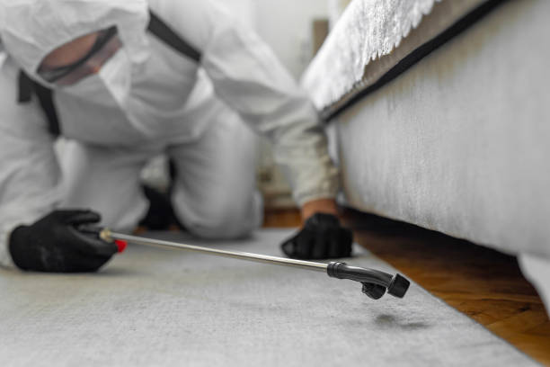 Professional Termite Control technician working in Avon, CO